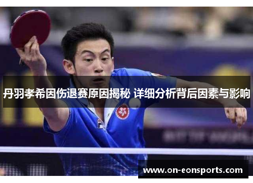 丹羽孝希因伤退赛原因揭秘 详细分析背后因素与影响